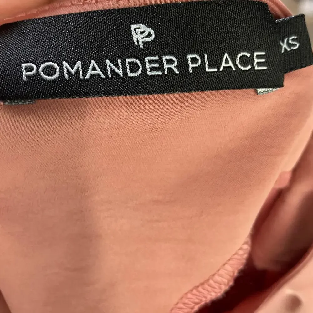 Tuckernuck Pomander Place Farah Blouse Long Puff Sleeve Satin Mauve Pink XS